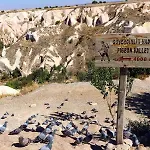 فندق مبيت وإفطار Pigeon Valley Stone House 4*