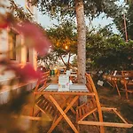 Pigeon Valley Stone House أُتْشيسار