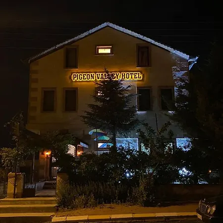 Bed & Breakfast Pigeon Valley Stone House