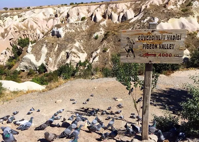 Panzió Pigeon Valley Stone House 4*